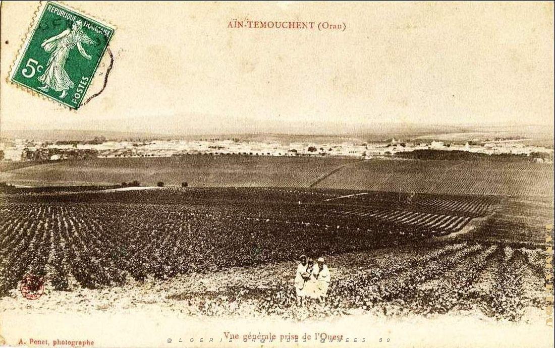 Ain temouchent 18.jpg
